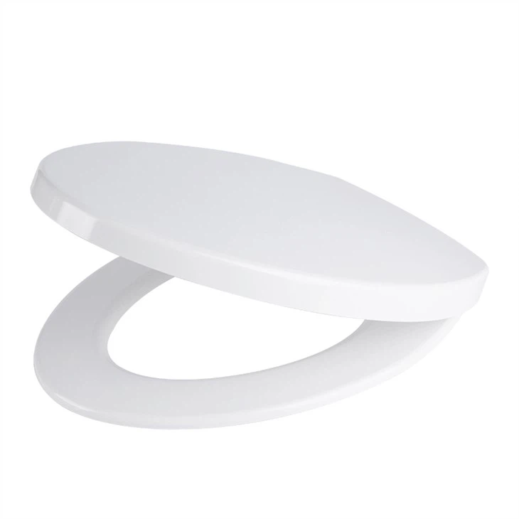 toilet-seat-and-lid