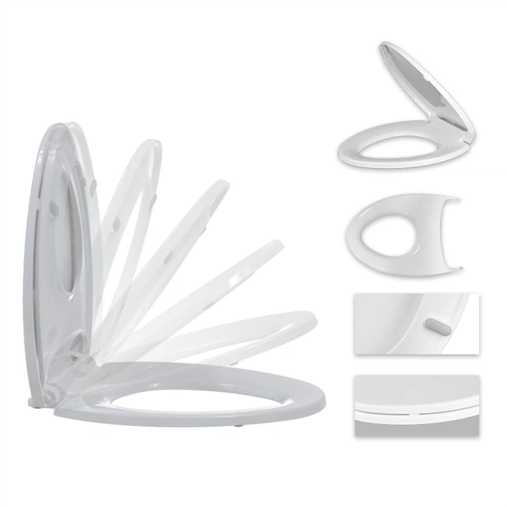 2 in 1 potty seat