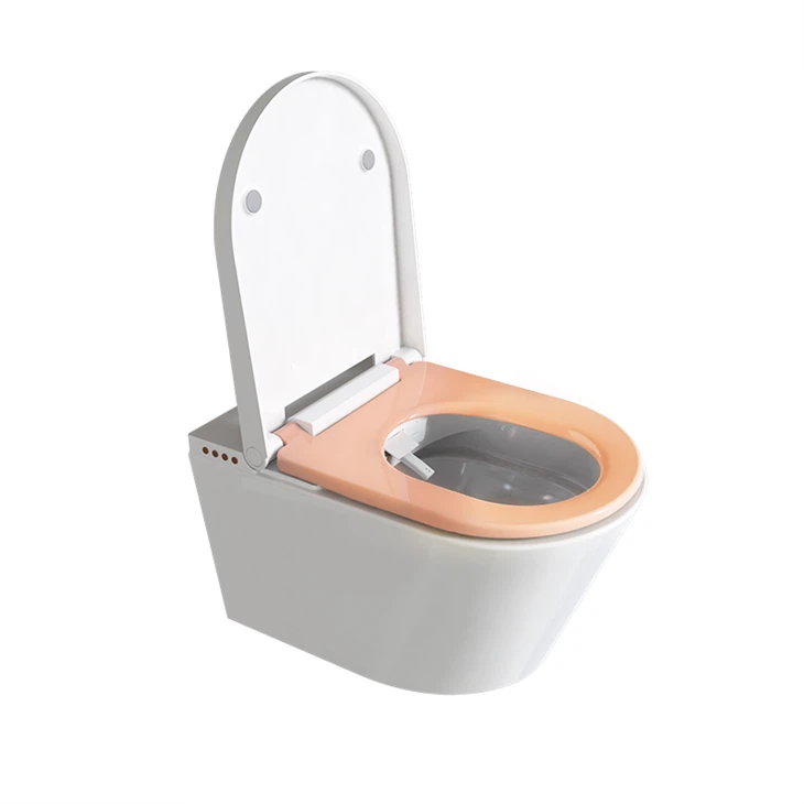 Inodoro Bidet Con Agua Caliente