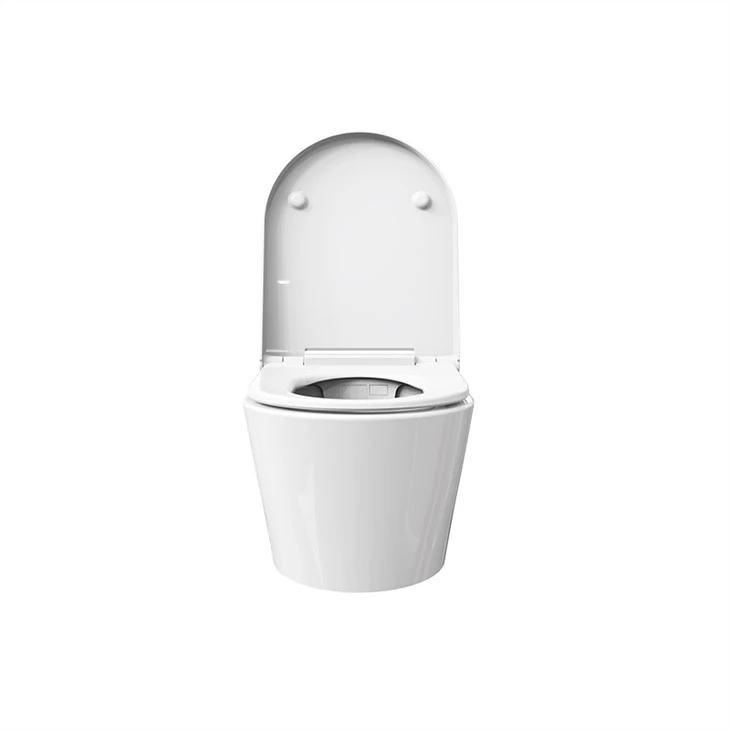 best intelligent toilet