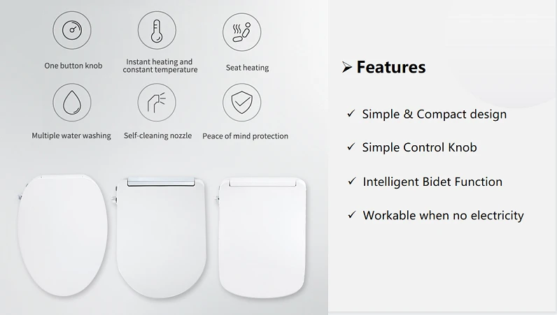 toilet seat with flush